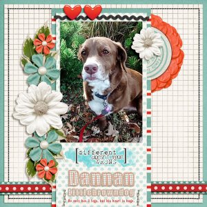 Dannan Littlebrowndog
