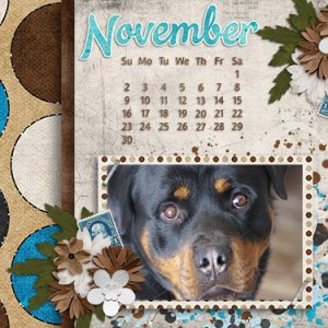 Desktop November
