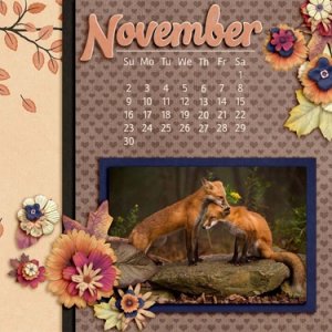 Nov Desktop - Foxes