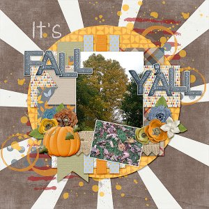 It's Fall Y'all !!!