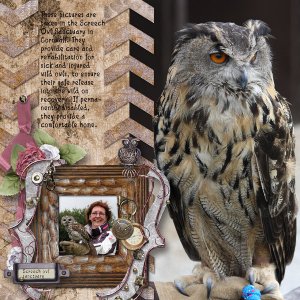 Owl Santuary