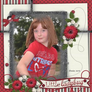 Little Ladybug