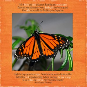 Butterflies and Second Chances
