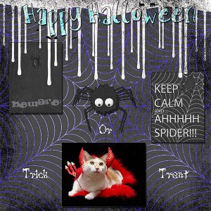 Happy Halloween