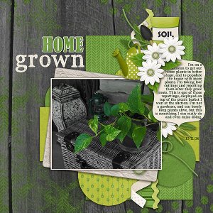 Home Grown