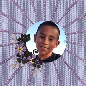 justfalllayout2