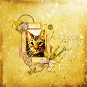 golden boy