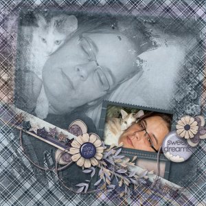 CatNap