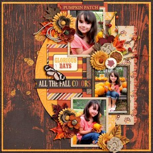 All The Fall Colors