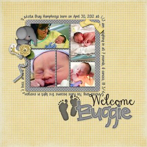 Welcome Buggie