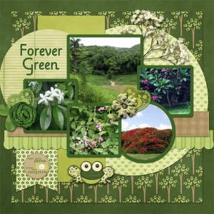 Forever Green