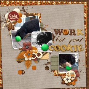 Work for your cookie