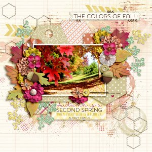 The Colors Of Fall
