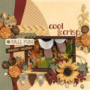 Fall Fun