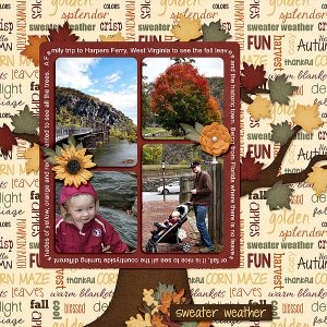 seeing-the-leaves