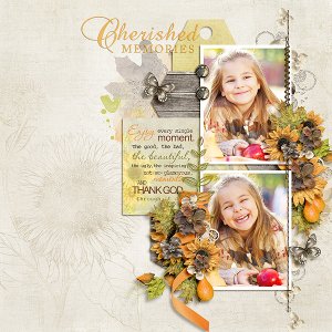 Cherished Memories