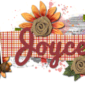 2014-11_Siggy