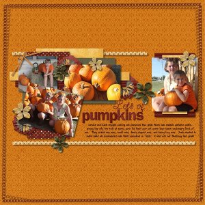 Pumpkin Patch