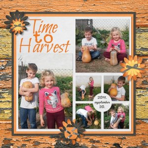 Time to harvest