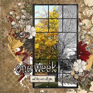 One Week