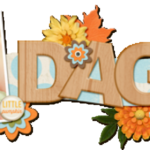 November siggy