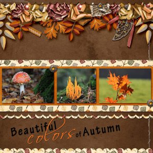 Colors of Autumn