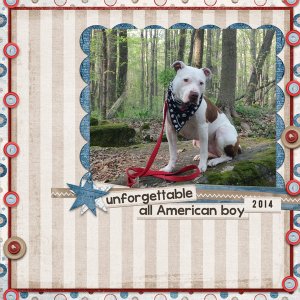 all american boy