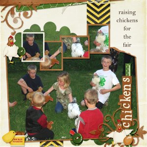 6-Marcus_chickens_2013_small