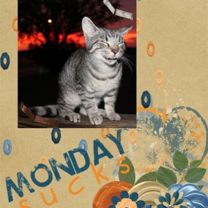 Monday Sucks