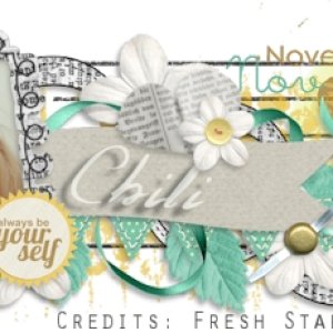 November Siggie 2014