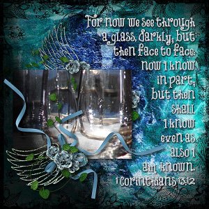 Through a Glass Darkly