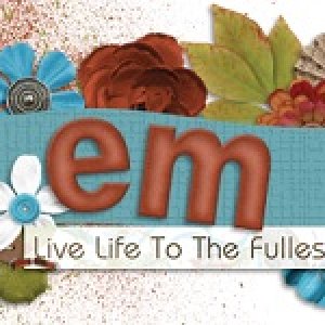 Nov Siggy challenge