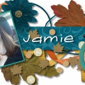 november siggy