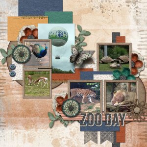 Zoo Day