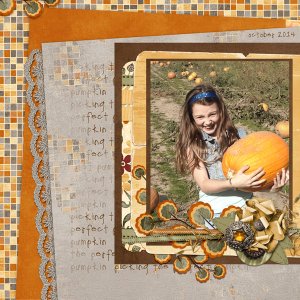 at the pumpkin patch