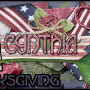 CSiggy4November