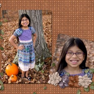 November 2014 Inspiration Challenge - Autumn Colors