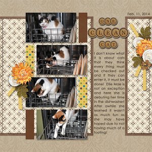 One Clean Cat!