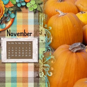 November DT