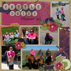 Cattle Drive Memories 2014