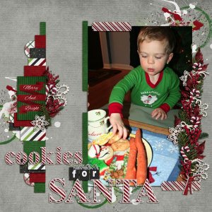 Cookies for Santa