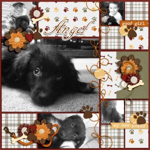 Angel - March 2014