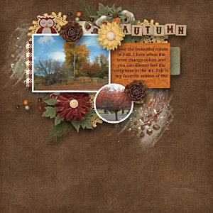BD-Autumn