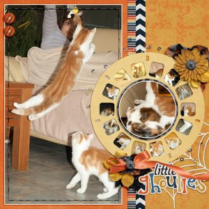 CatSnAction