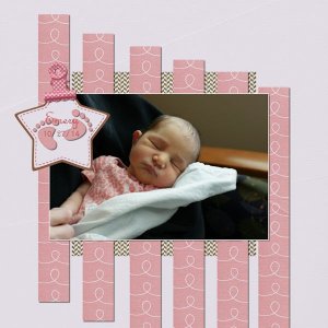 nem_mbmg_layout_1