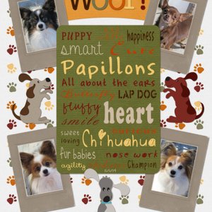 Woof