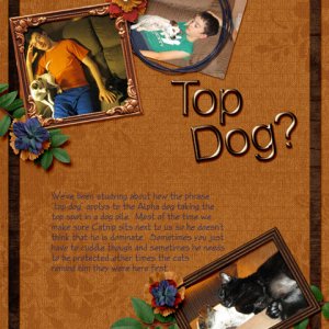 Top Dog