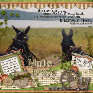 Mule Days