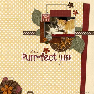The Purr-fect Life