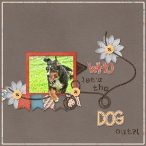 Who lets the dog out